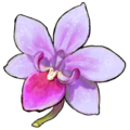Thumbnail for version as of 10:21, 14 August 2024