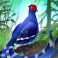 Thumbnail for version as of 09:06, 15 August 2024