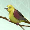 Thumbnail for version as of 09:01, 15 August 2024