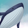 Thumbnail for version as of 09:00, 15 August 2024