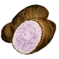 Thumbnail for version as of 17:09, 14 August 2024