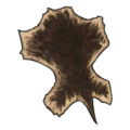 Thumbnail for version as of 13:55, 14 August 2024