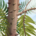 Thumbnail for version as of 08:57, 15 August 2024