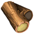 Thumbnail for version as of 11:28, 13 August 2024