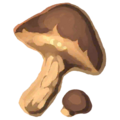 Thumbnail for version as of 18:04, 14 August 2024