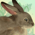 Thumbnail for version as of 08:57, 15 August 2024