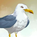 Thumbnail for version as of 09:01, 15 August 2024
