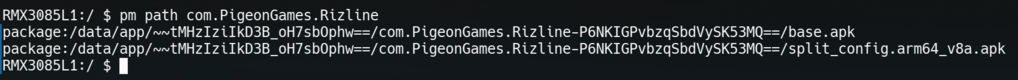 A screenshot showing two paths to APK files.