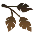 Thumbnail for version as of 09:25, 15 August 2024