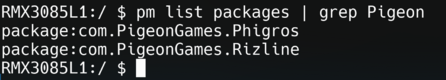 A screenshot showing the filtered results with only two package IDs.