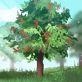 Thumbnail for version as of 08:45, 15 August 2024